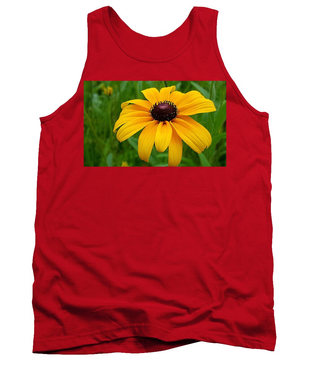 Lupins Tank Top featuring the photograph Black Eyed Susan by Michael Graham