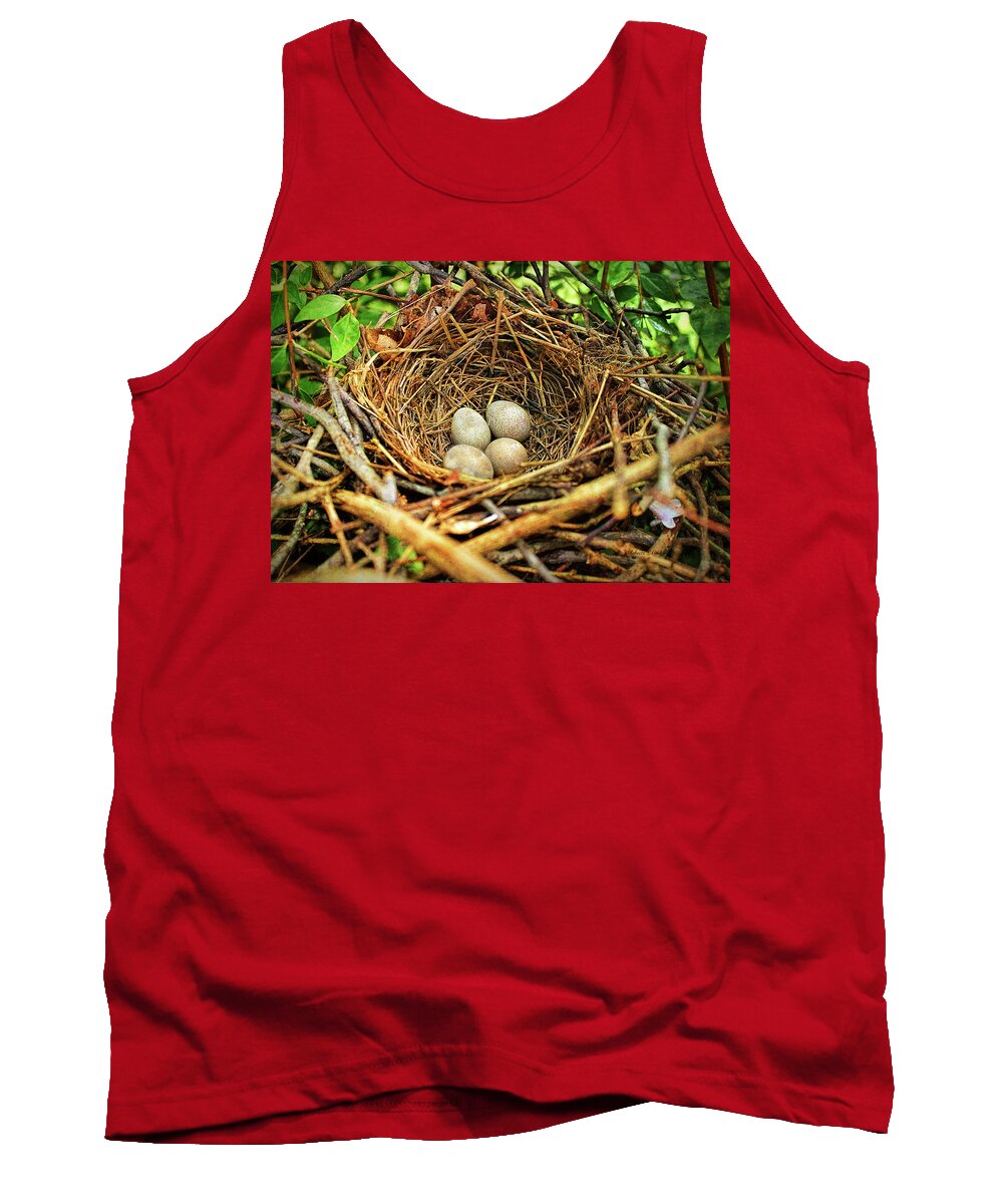 Brown Thrasher Nest And Eggs Tank Top featuring the photograph Brown Thrasher Nest And Eggs by Bellesouth Studio