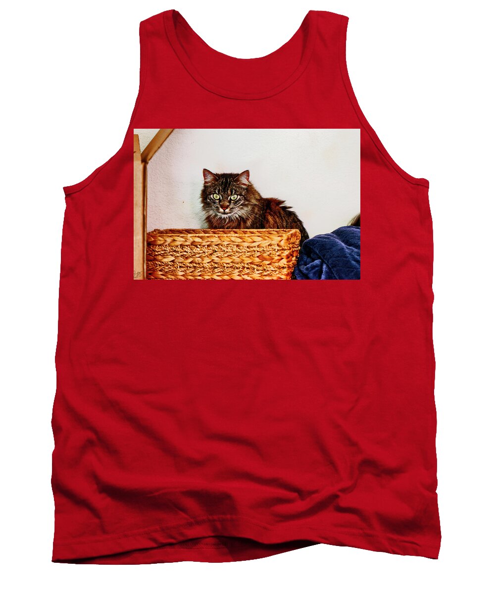 Cat Tank Top featuring the photograph Cat Behind a Basket by Gina O'Brien
