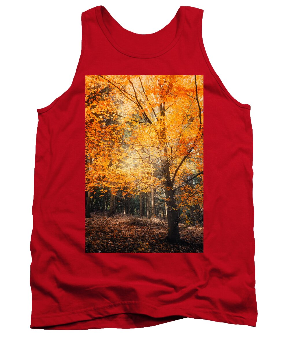 Trees Tank Top featuring the photograph Circle of Life by Philippe Sainte-Laudy