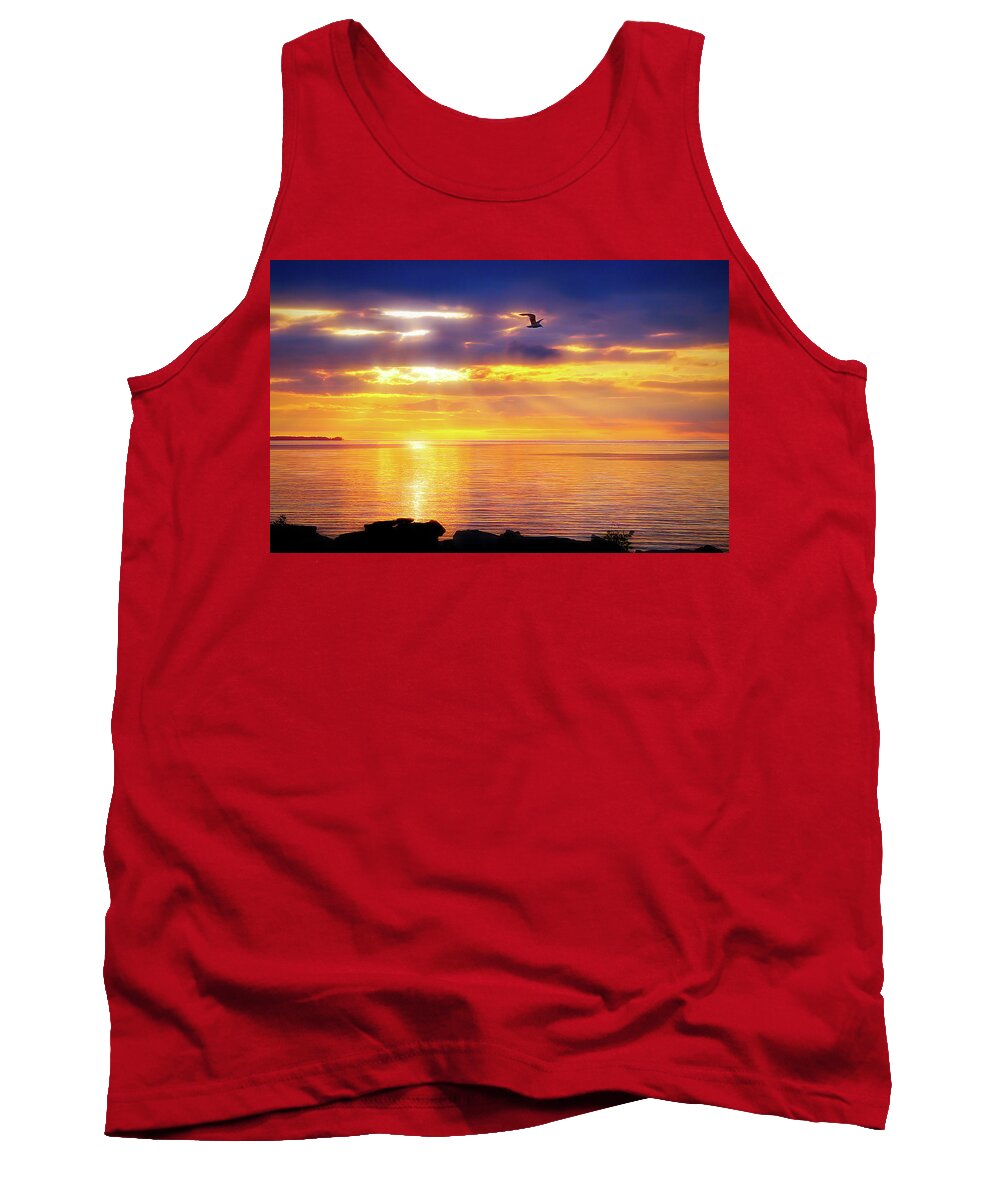 Sun Tank Top featuring the photograph City Flare Heavenly Flight by Aimee L Maher ALM GALLERY