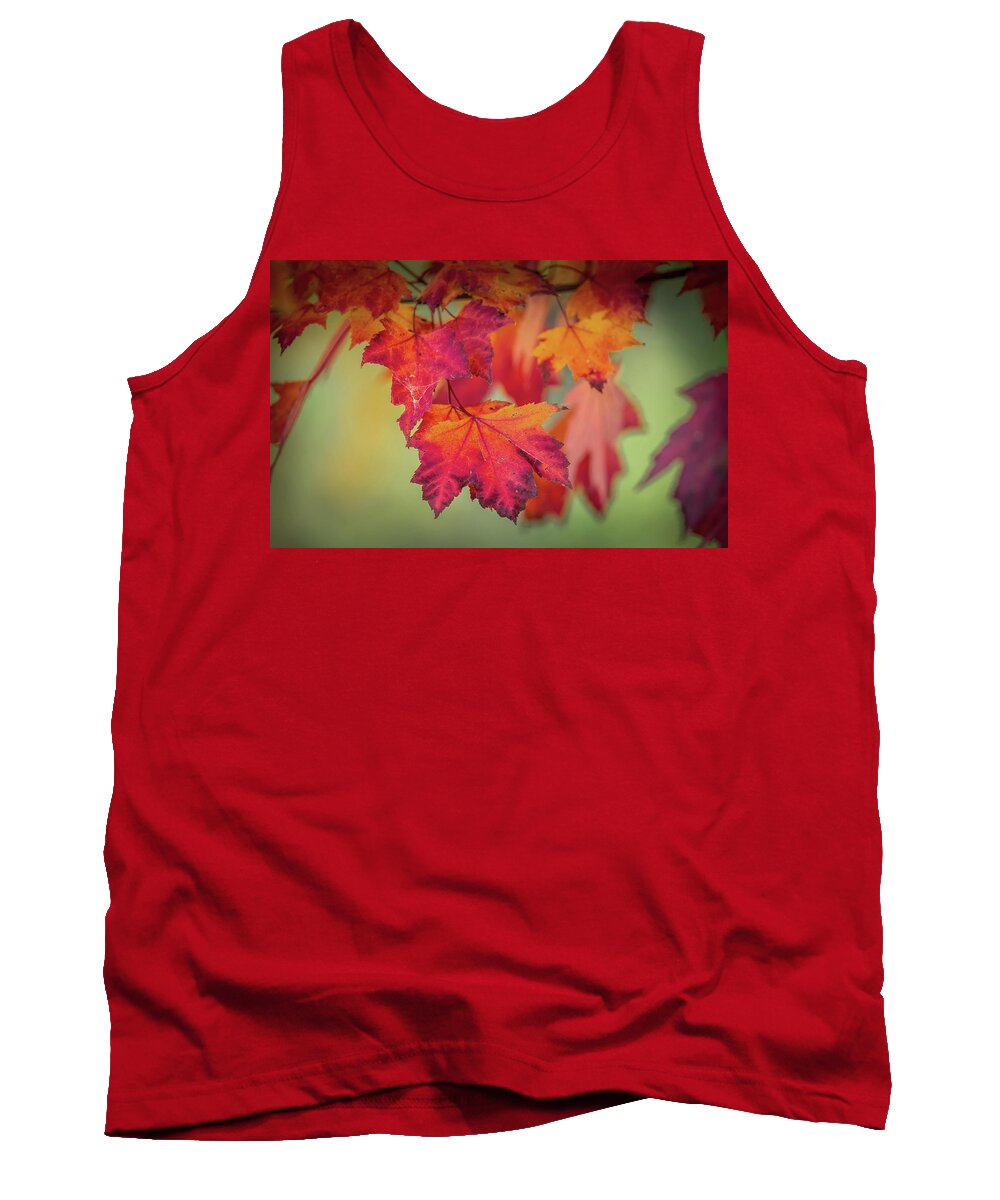 Leaf Tank Top featuring the photograph Close-up of Red Maple Leaves in Autumn by Patrick Wolf