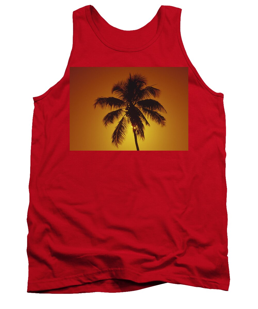 Coconut Palm Tank Top featuring the photograph Coconut palm tree sunset by Gary Corbett