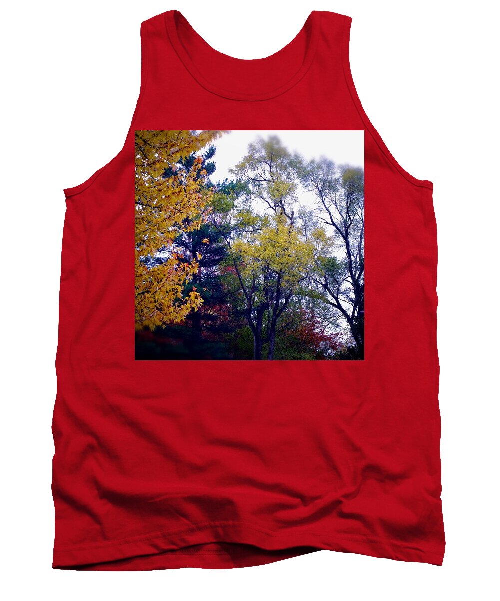 Frank J Casella Tank Top featuring the photograph Colors by Frank J Casella