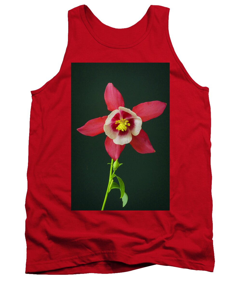 Columbine Flower In Bloom Tank Top featuring the photograph Columbine flower 2 by Kenneth Cole