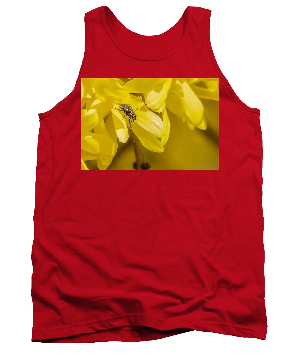 Cyclorrhapha Tank Top featuring the photograph Common Housefly on yellow flower by SAURAVphoto Online Store