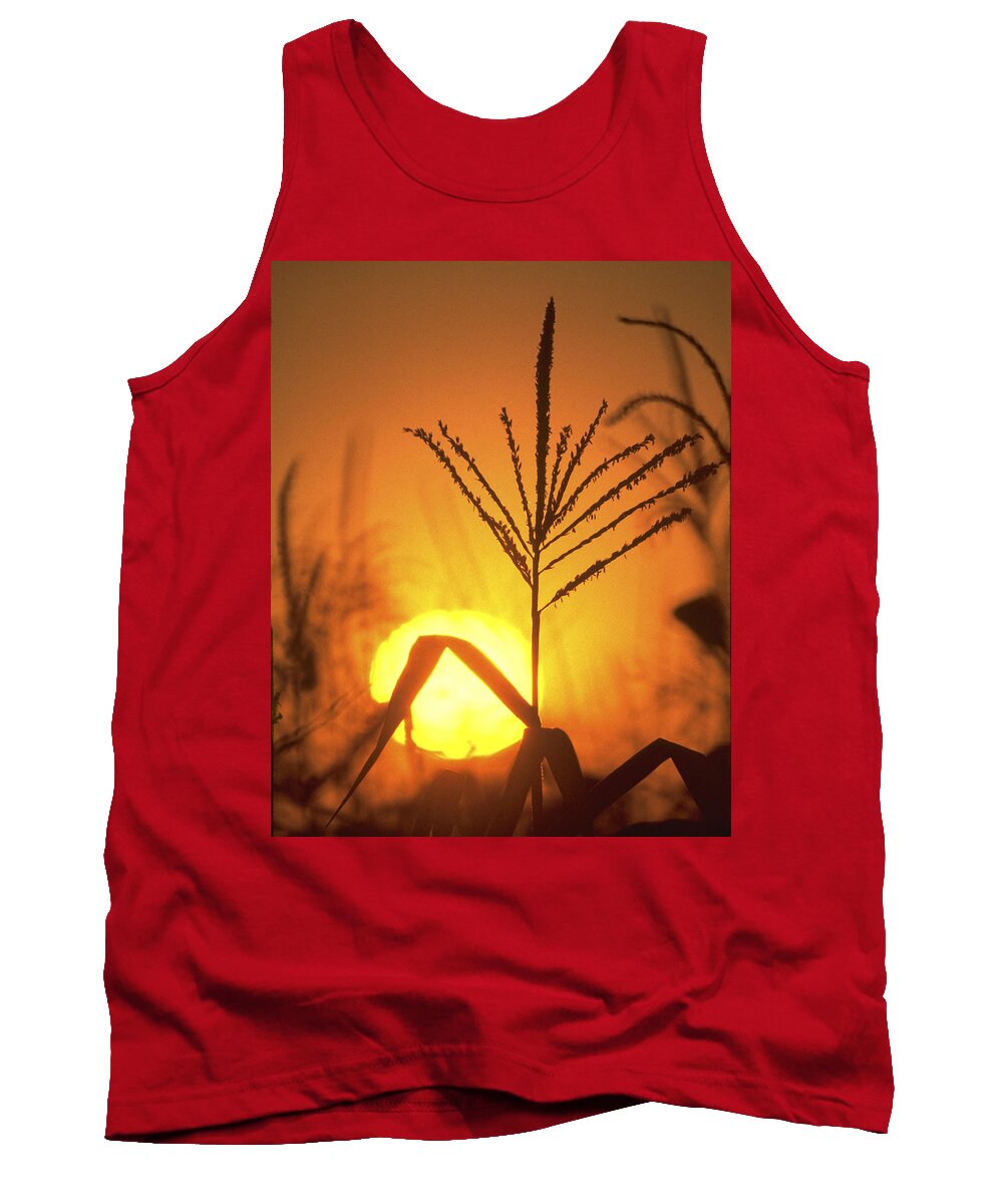 Corn Tank Top featuring the photograph Cornfield Sunset by Garry McMichael