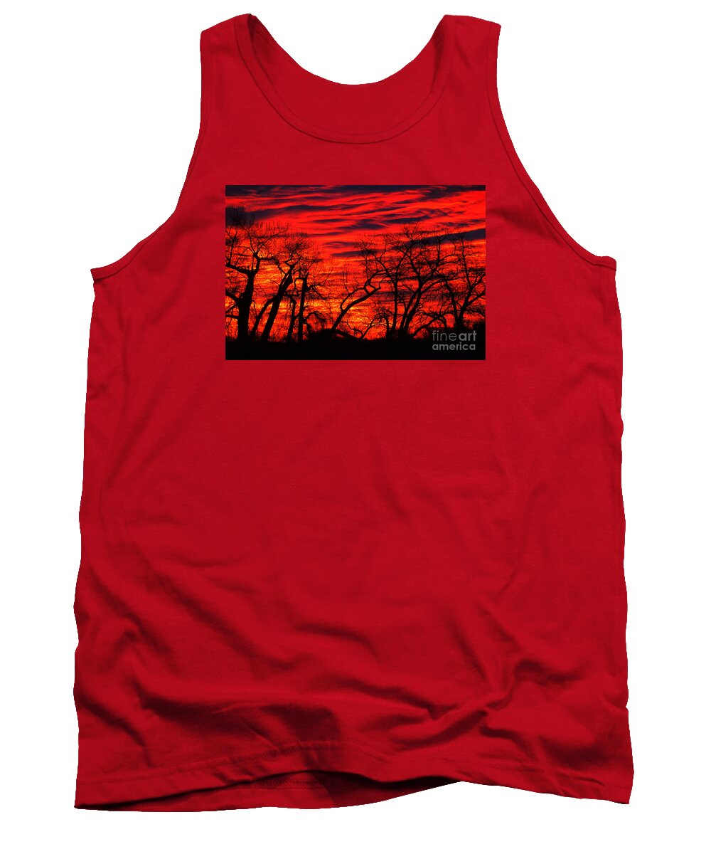 Beautiful Tank Top featuring the photograph Cottonwood Tango by Greg Summers