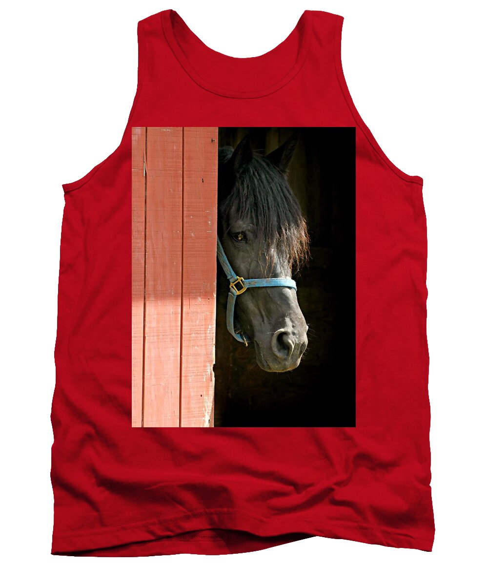 Coy Tank Top featuring the photograph Coy Boy by Diana Angstadt