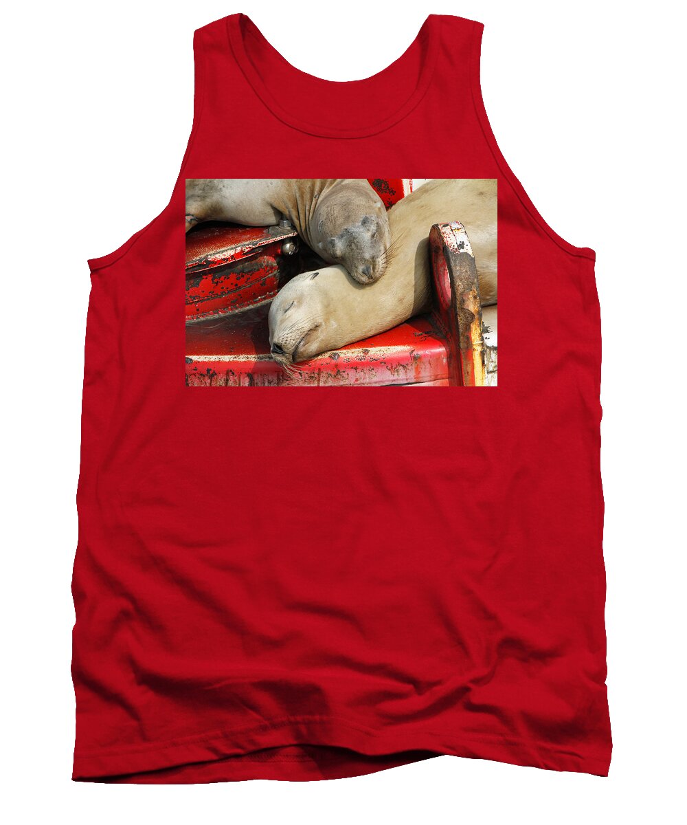 Sea Lions Tank Top featuring the pyrography Cuddle Buddies by Shoal Hollingsworth