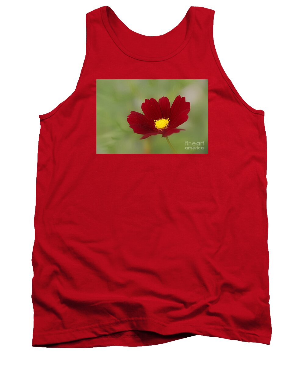 Flowers Tank Top featuring the photograph Deep in Red by Yumi Johnson