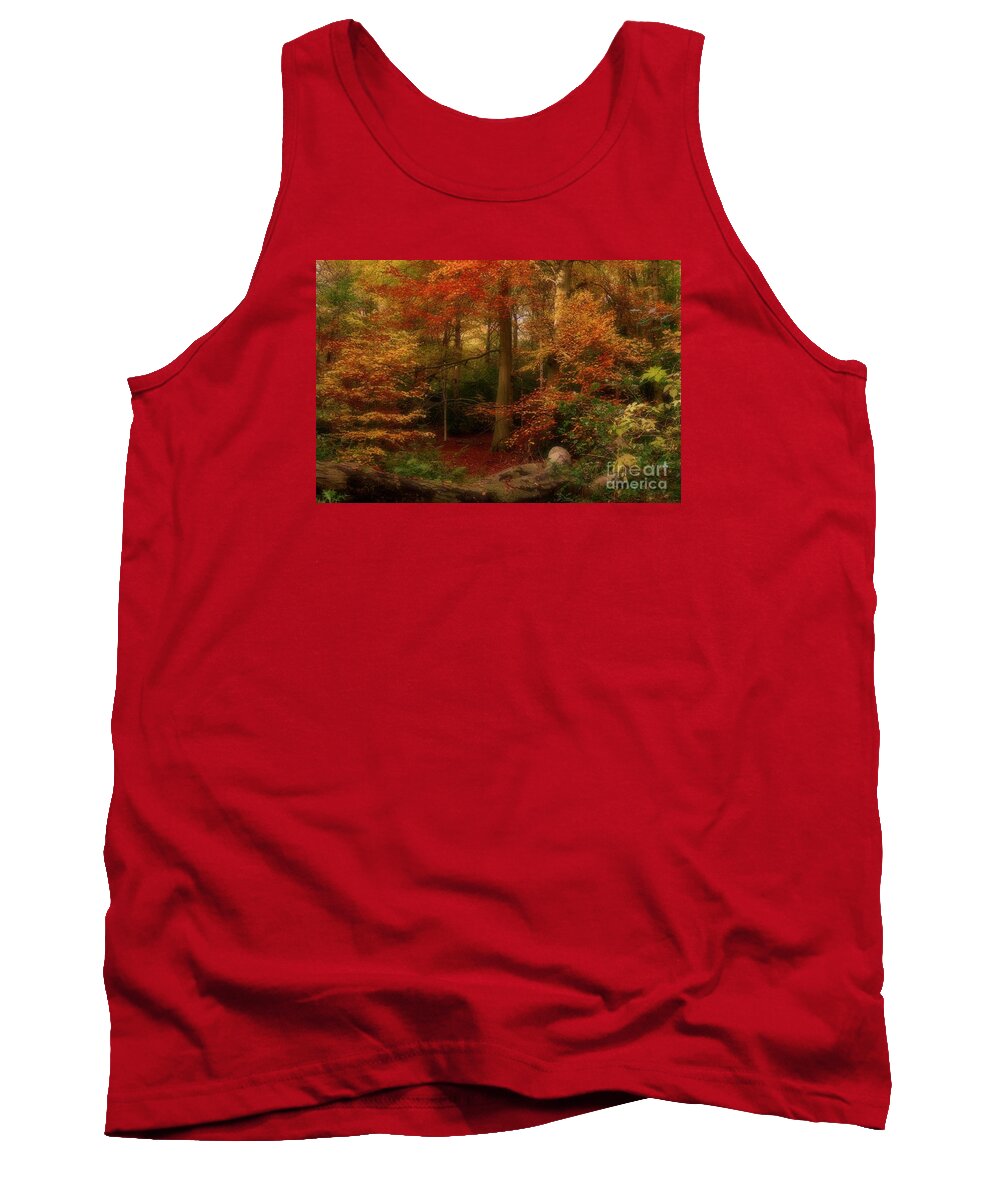Autumn Leaves Tank Top featuring the photograph Dreamy Forest Glade in Fall by Martyn Arnold