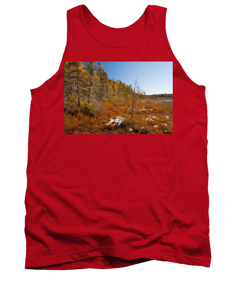 Kelly River Wilderness Tank Top featuring the photograph Edge Of November by Irwin Barrett
