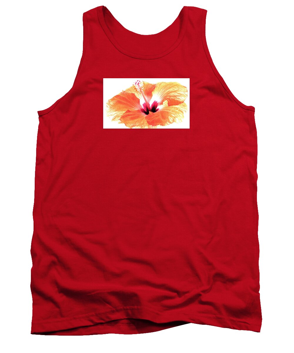 Orange Hibiscus Tank Top featuring the photograph Enlightened by Angela Davies