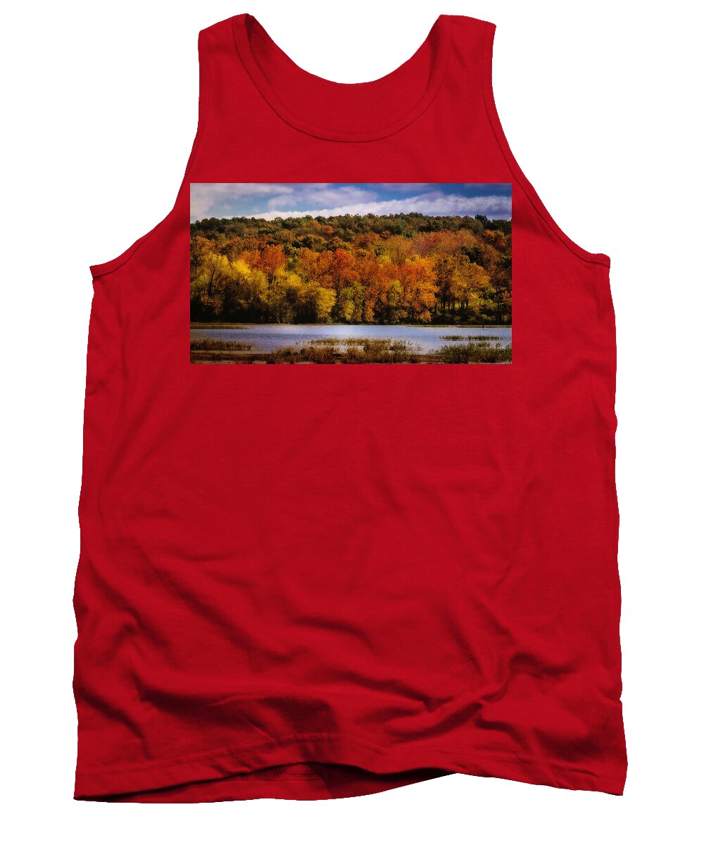 Fall Tank Top featuring the photograph Fall on Springfield Lake by Allin Sorenson