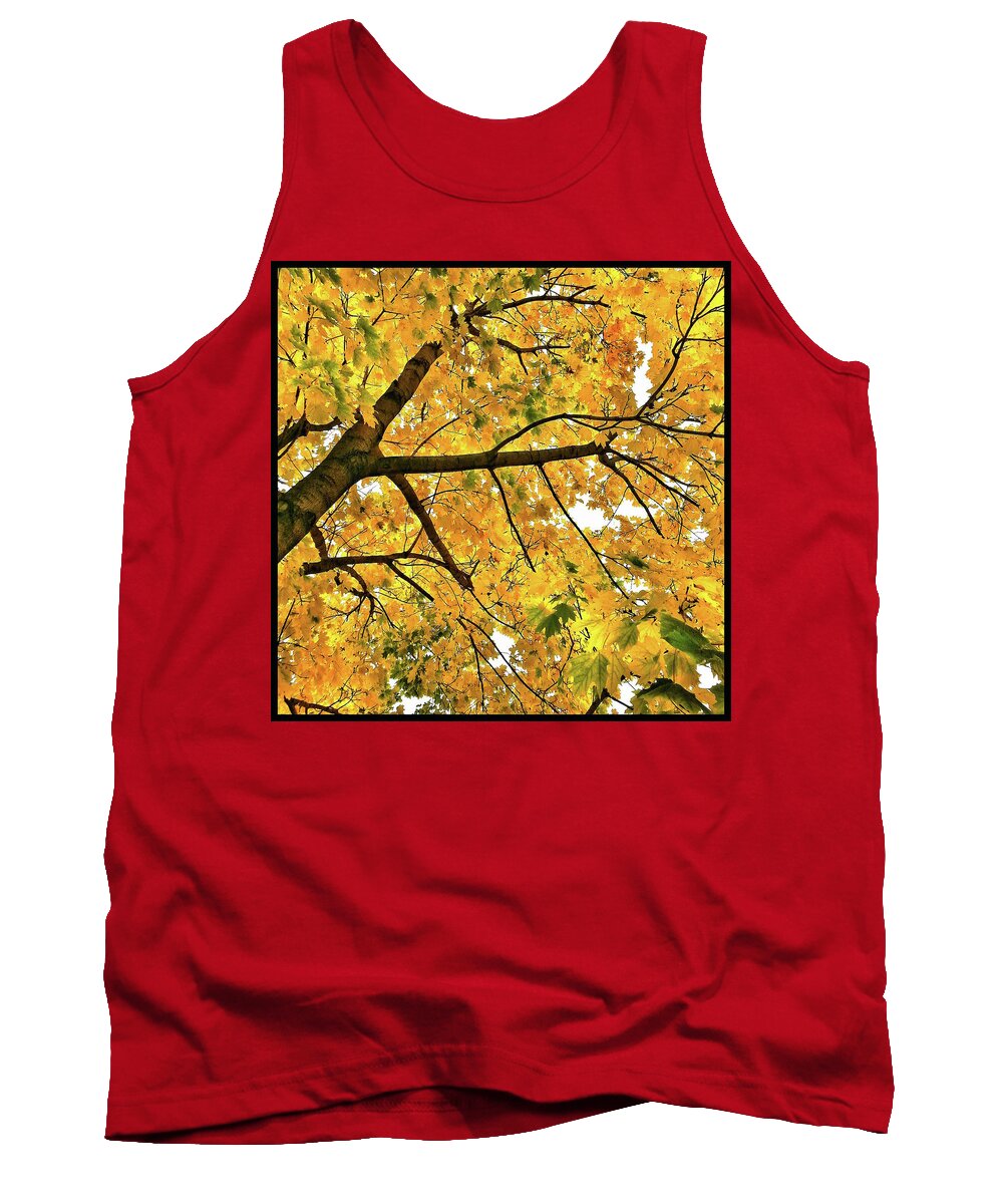 Fall Tank Top featuring the photograph Fall on William Street by Al Harden