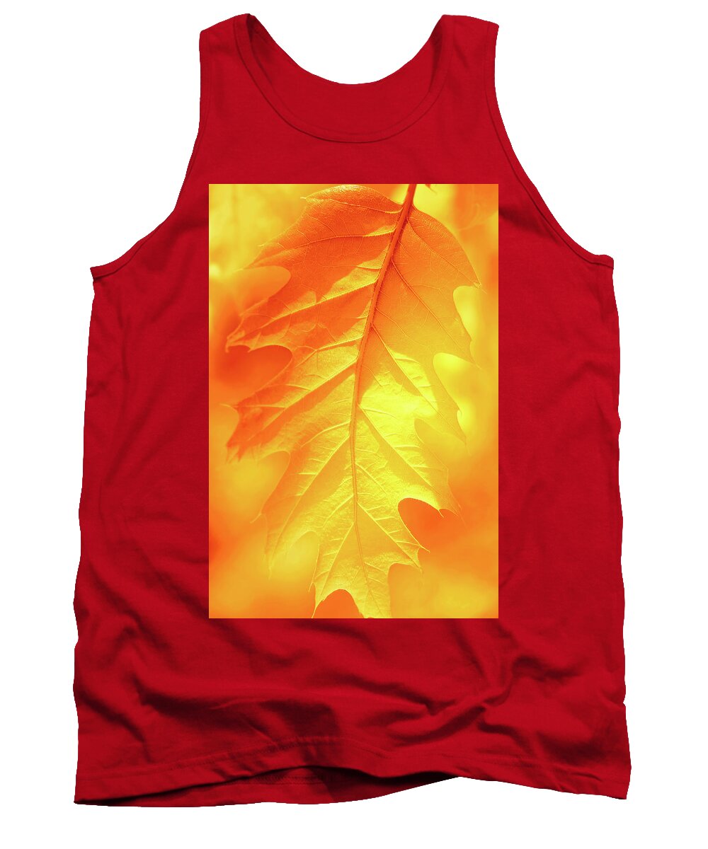 Leaf Tank Top featuring the photograph Fall Shade by Iryna Goodall