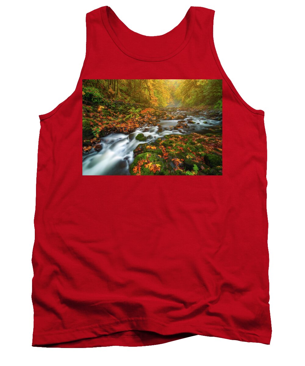 Fall Colors Tank Top featuring the photograph Fantasies of Fall by Darren White