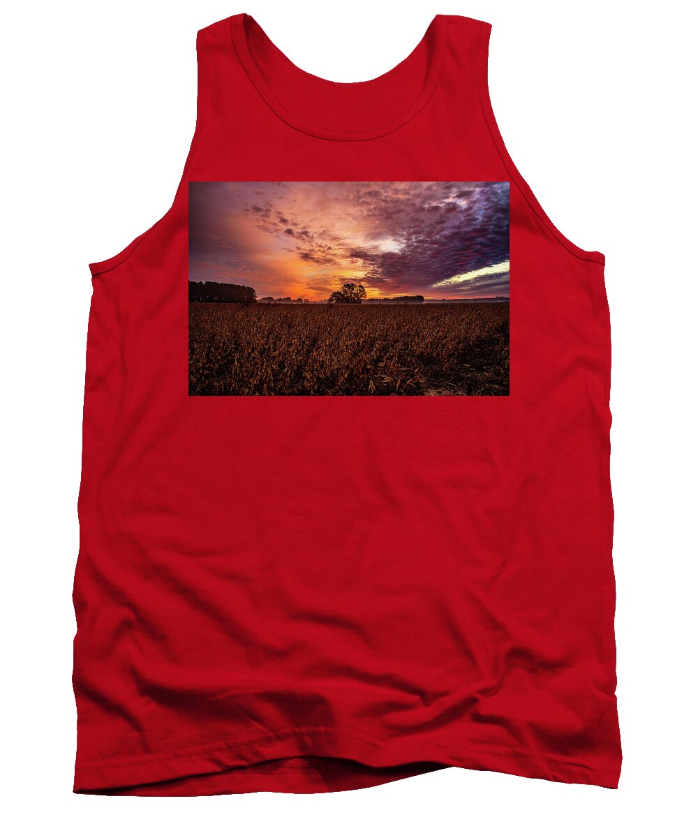 Field Of Beans Prints Tank Top featuring the photograph Field Of Beans by John Harding