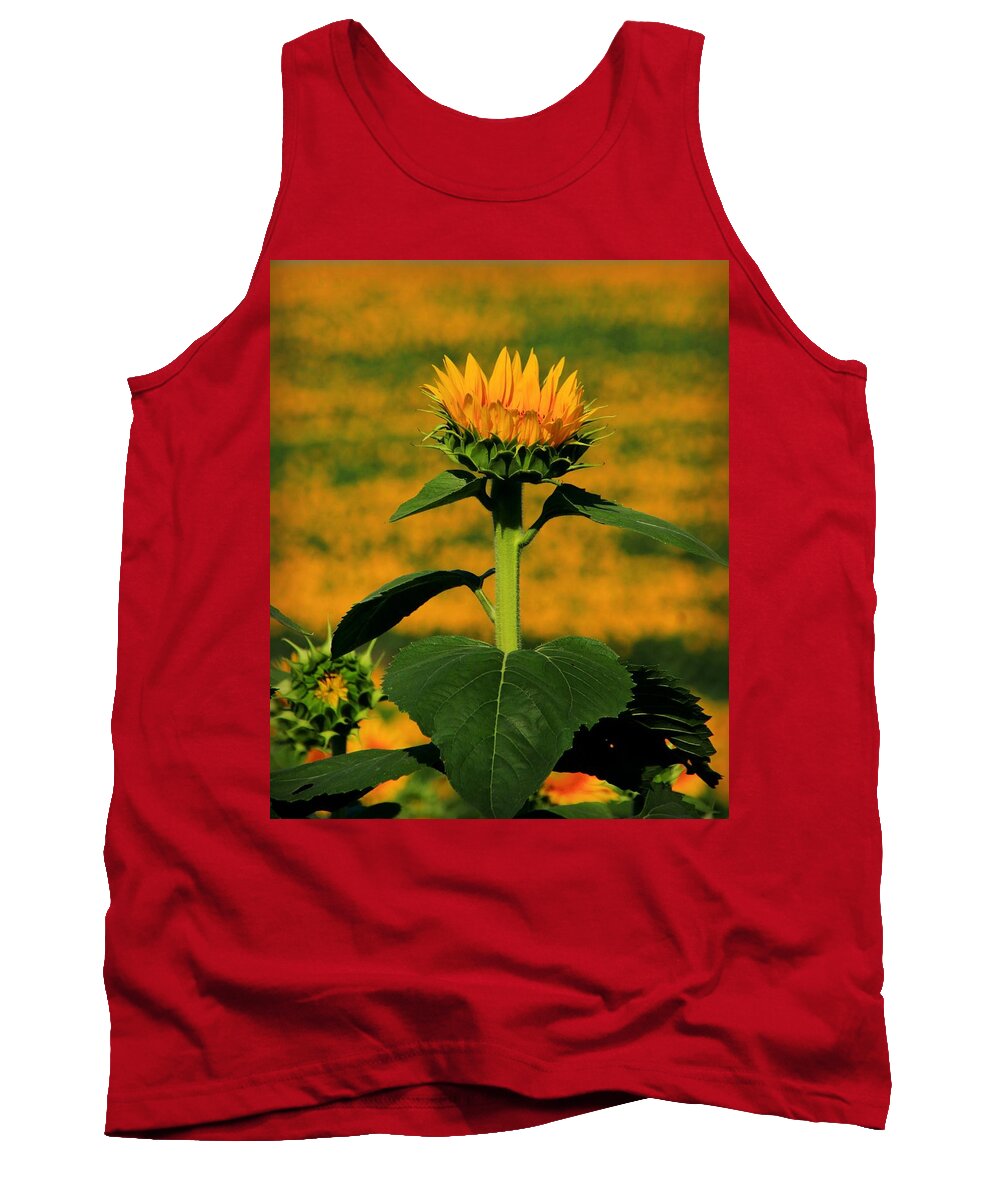 Grinter Tank Top featuring the photograph Field of Gold by Chris Berry