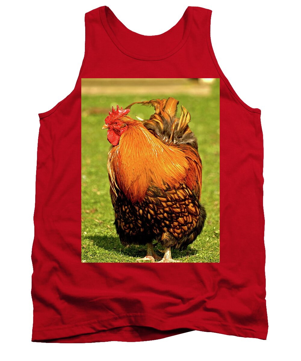 Animals Tank Top featuring the photograph Fighting Cock by Richard Denyer