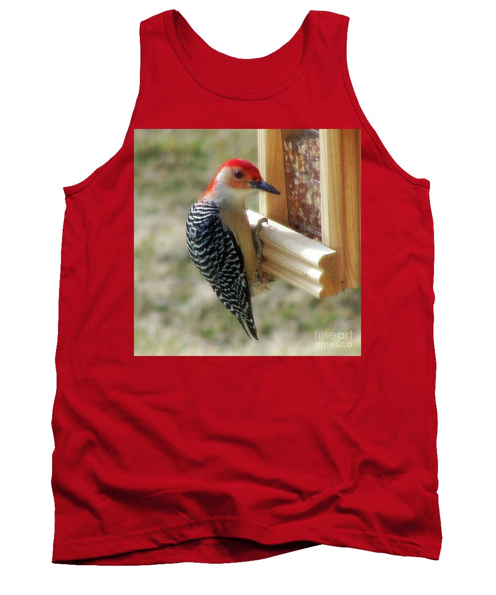 Woodpecker Tank Top featuring the photograph Free Lunch by Melissa Mim Rieman