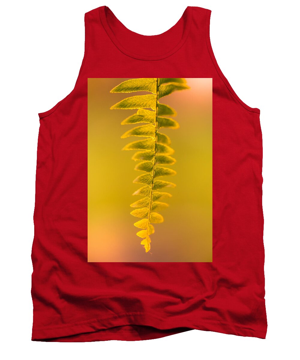 Fern Tank Top featuring the photograph Golden Fern by Shane Holsclaw