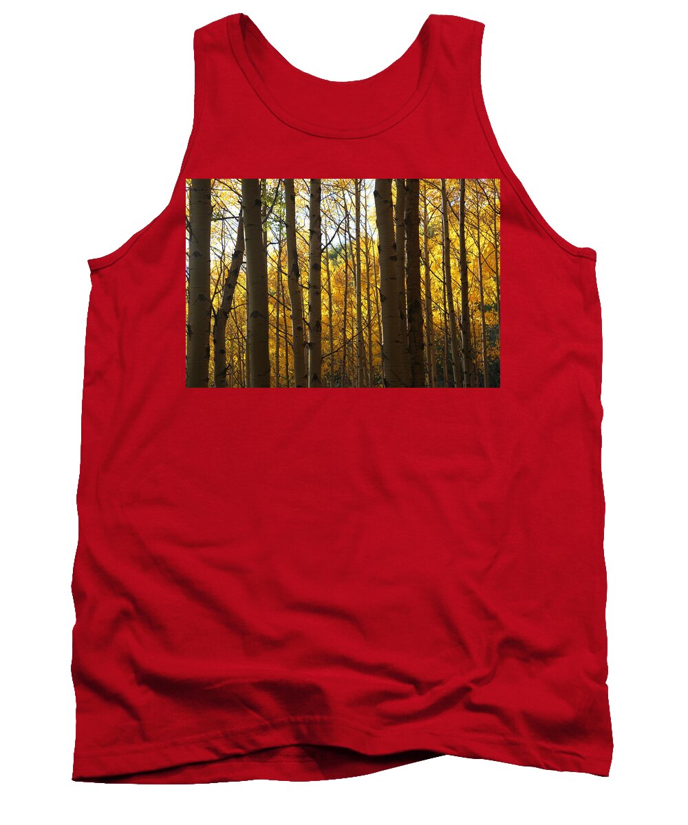 Aspen Foliage Tank Top featuring the photograph Guarding the Gold by Tammy Pool