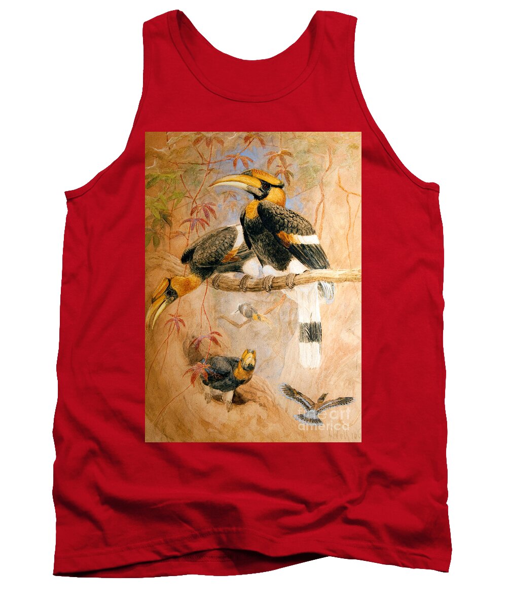 Birds Tank Top featuring the painting Hornbill by Joseph Wolf