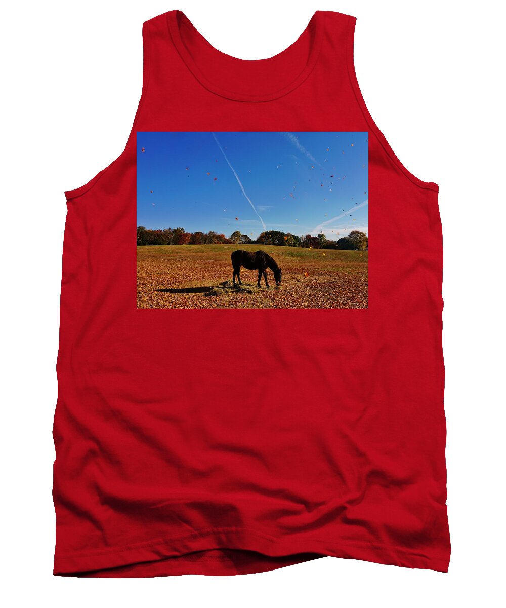 Horse Tank Top featuring the photograph Horse Farm in the Fall by Ed Sweeney