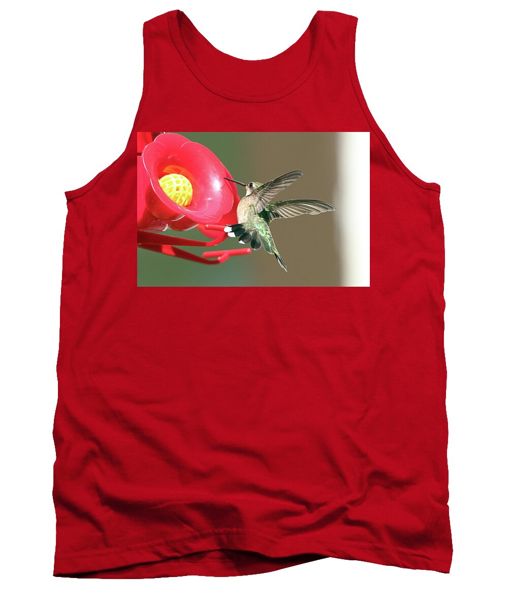Humming Bird Tank Top featuring the photograph I'm out of here by David Stasiak