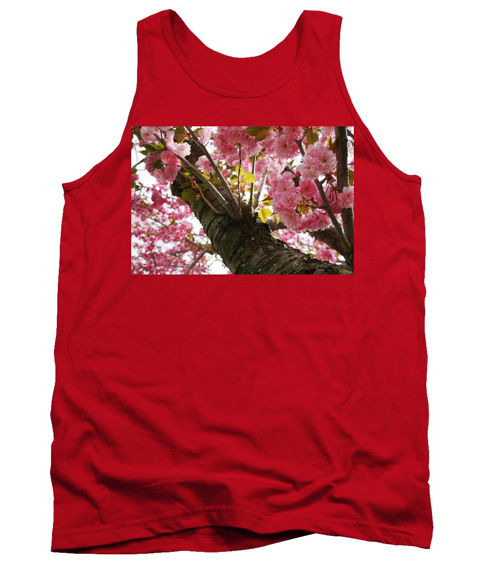 Flowers Tank Top featuring the photograph In Bloom by Christopher Brown