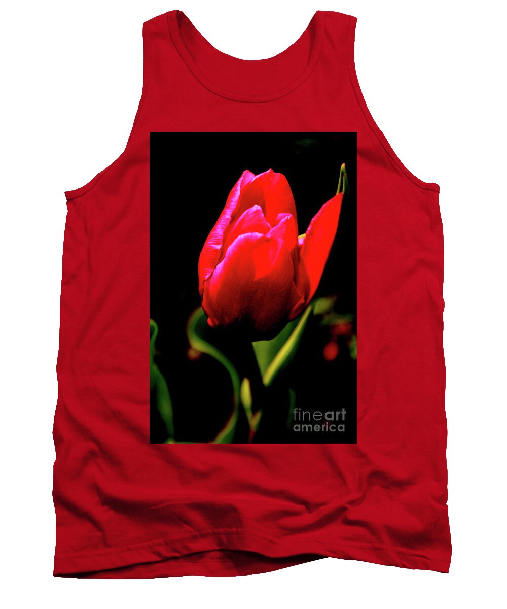 Tulips Tank Top featuring the photograph Indecision by Melissa Mim Rieman