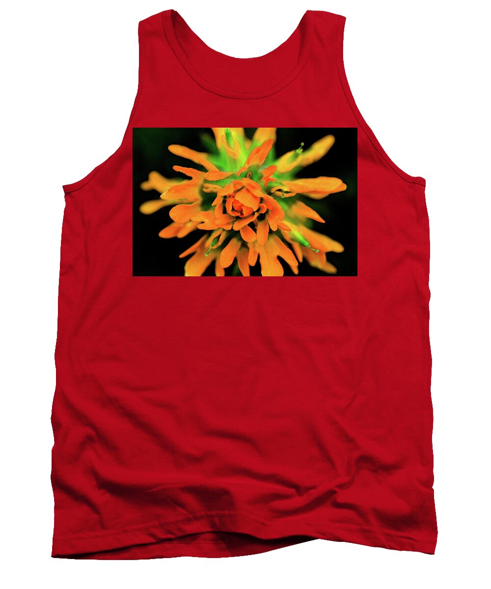 Flower Tank Top featuring the photograph Indian Paintbrush by Winnie Chrzanowski