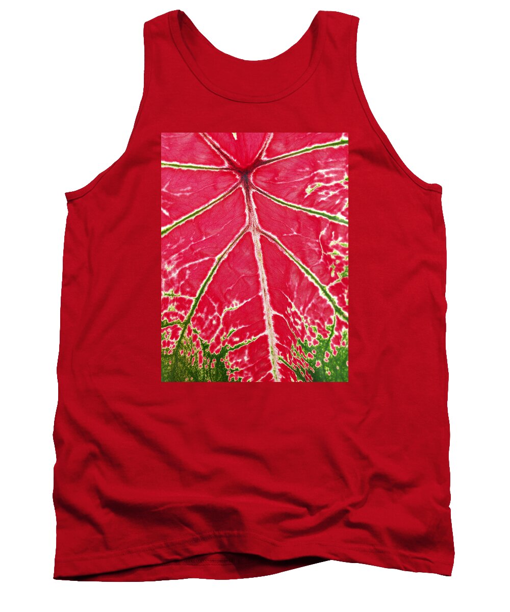 Leaf Tank Top featuring the photograph Leaf veins by Bruce Roker