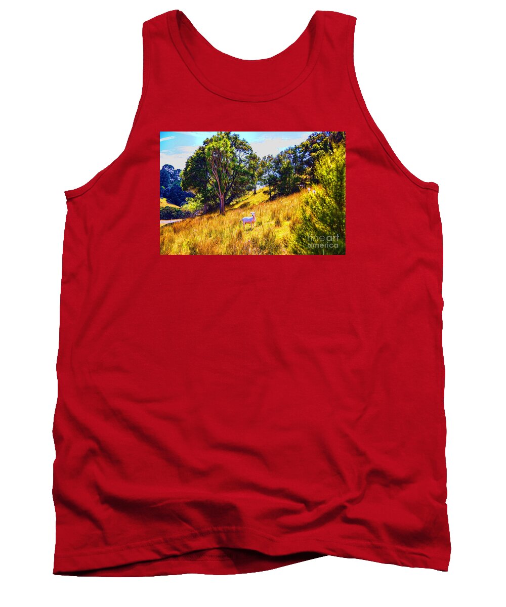 New Zealand Landscapes Hills Animals Tank Top featuring the photograph Lost Lamb by Rick Bragan