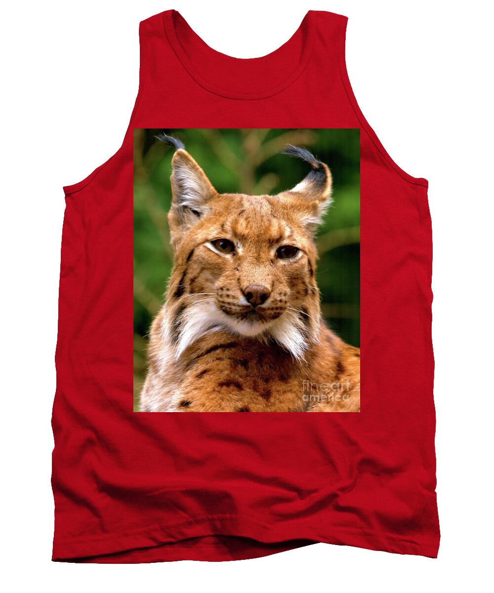 Cat Tank Top featuring the photograph Lynx Portrait by Baggieoldboy