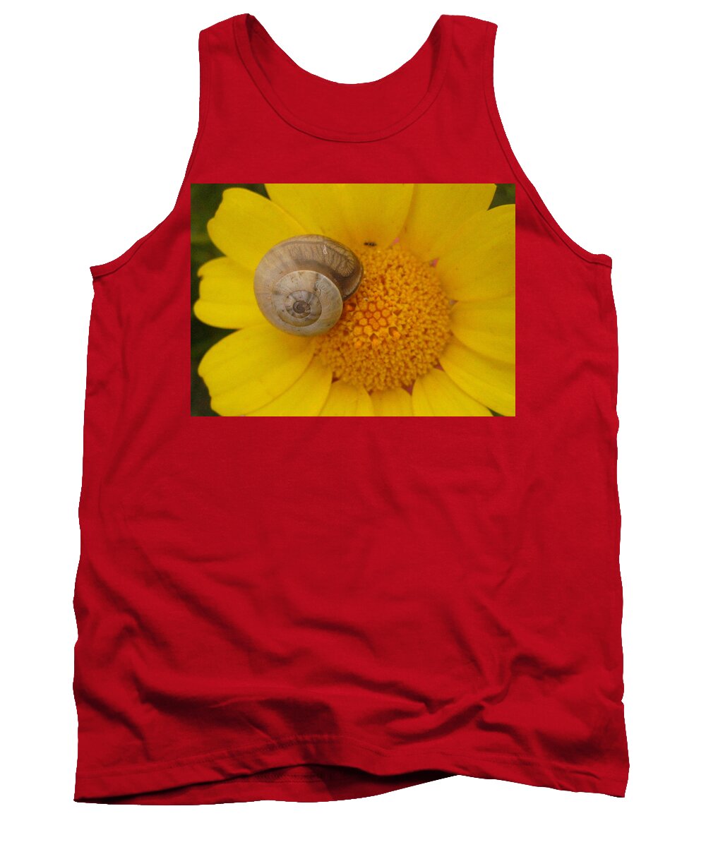 Photograph Tank Top featuring the photograph Malta Flower by Annette Hadley