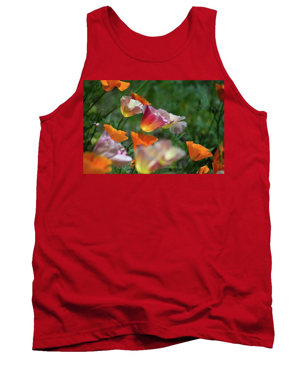 Poppies Tank Top featuring the photograph Mission Bell Poppies by Steph Gabler