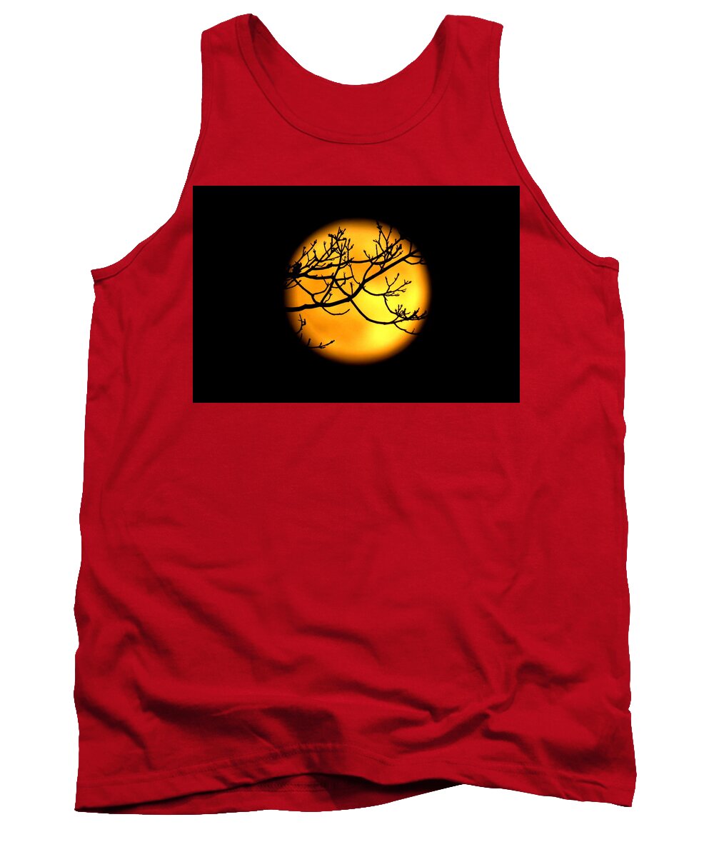 Moon Tank Top featuring the photograph Moon in the Trees by Suzanne DeGeorge