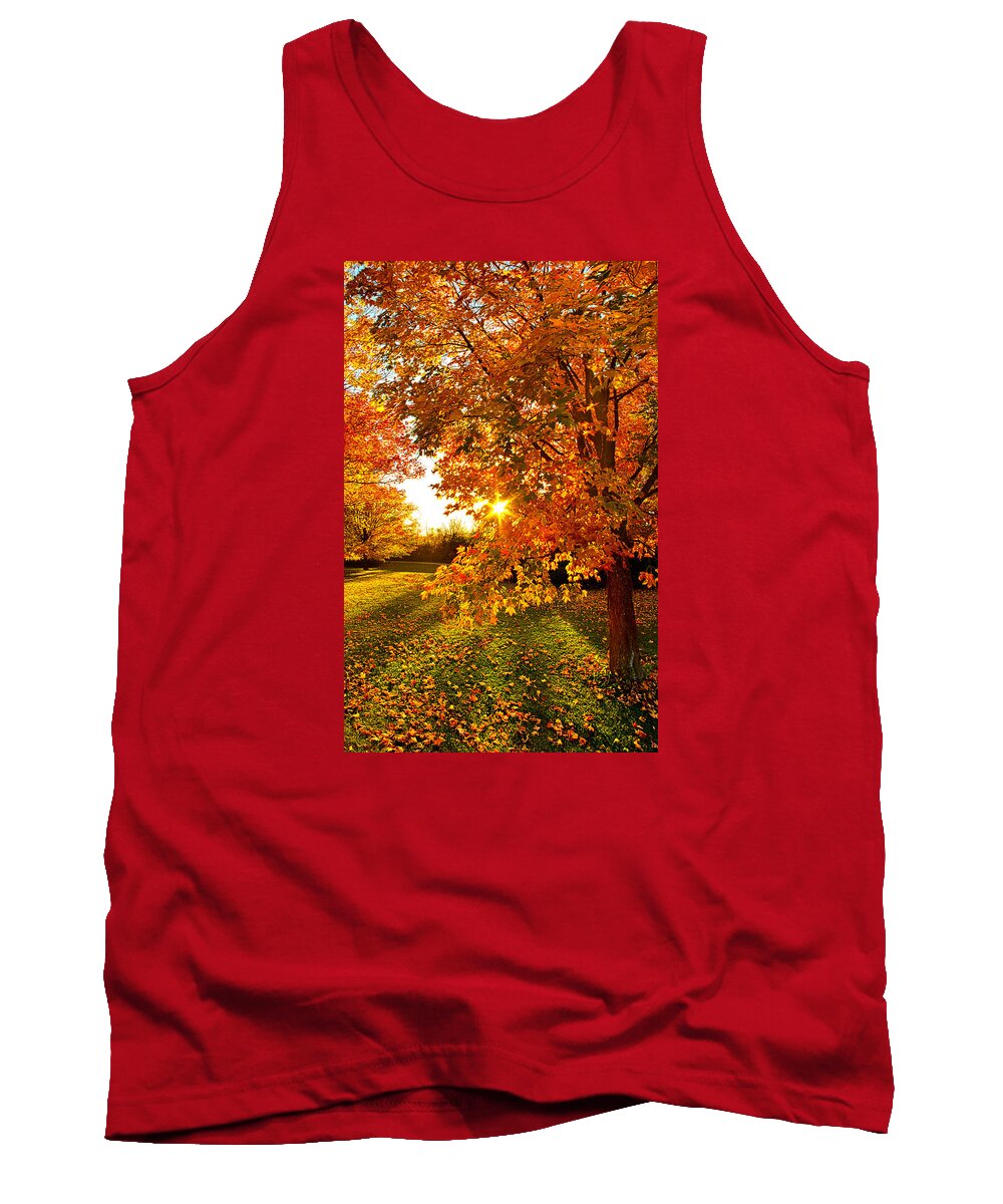 Autumn Tank Top featuring the photograph Orange You Glad by Phil Koch