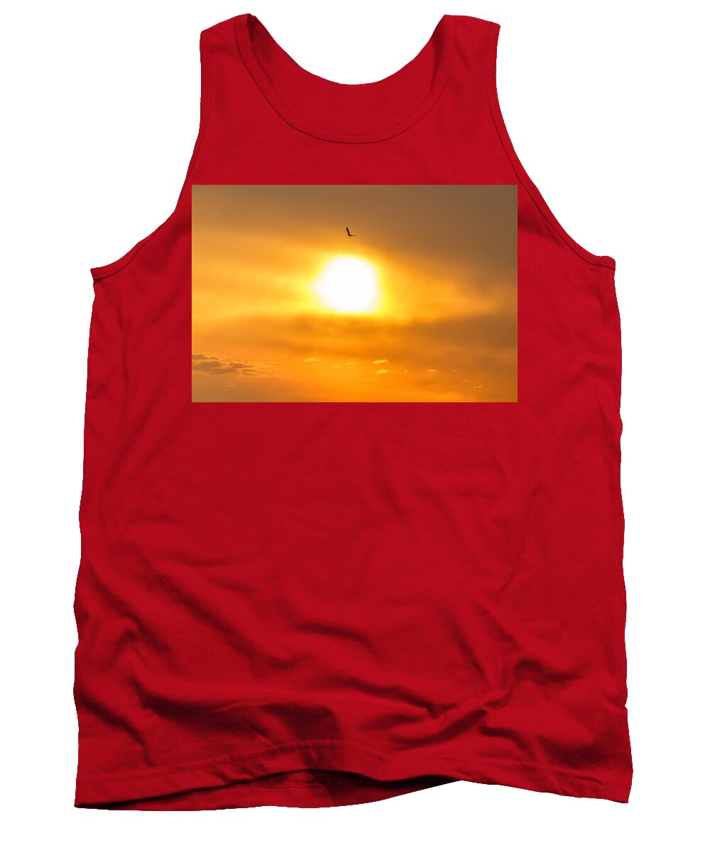 New Jersey Tank Top featuring the photograph Osprey at sunset by SAURAVphoto Online Store