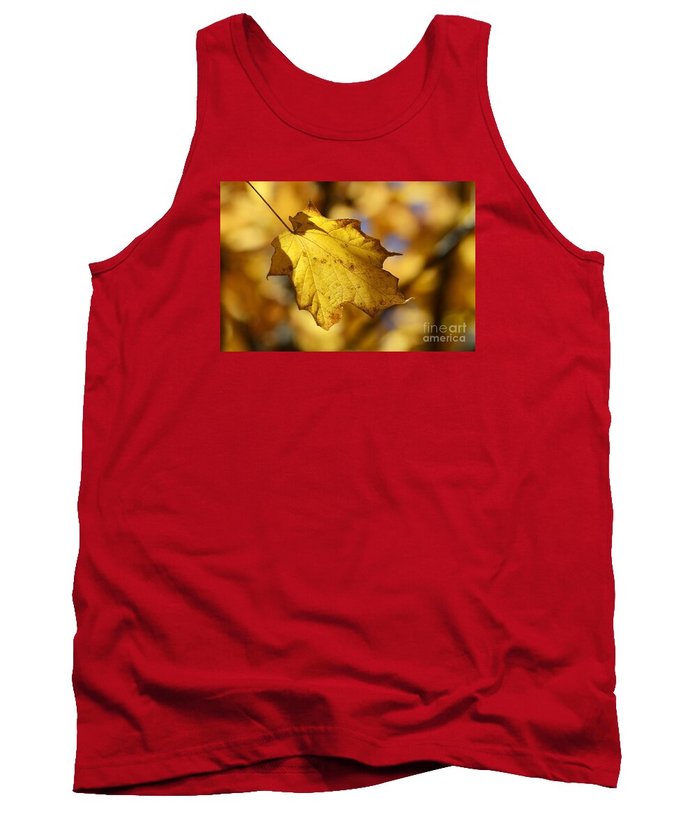 Leaf Tree Fall Autumn Yellow Color Colors Tank Top featuring the photograph Out of Many  One 2440 by Ken DePue