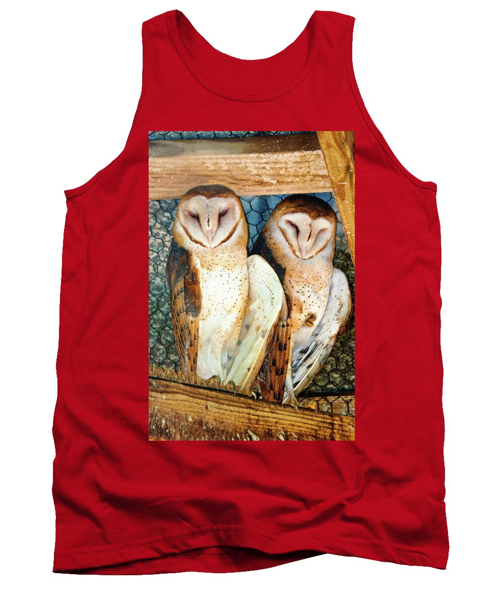Barn Owl Tank Top featuring the photograph Owl Buddies by Rochelle Berman