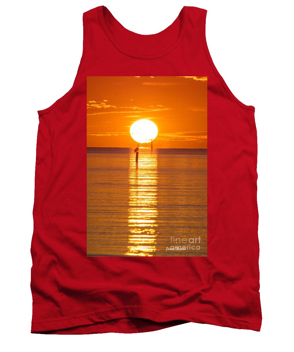 Pelicans Tank Top featuring the photograph Pelican Sunset by Metaphor Photo