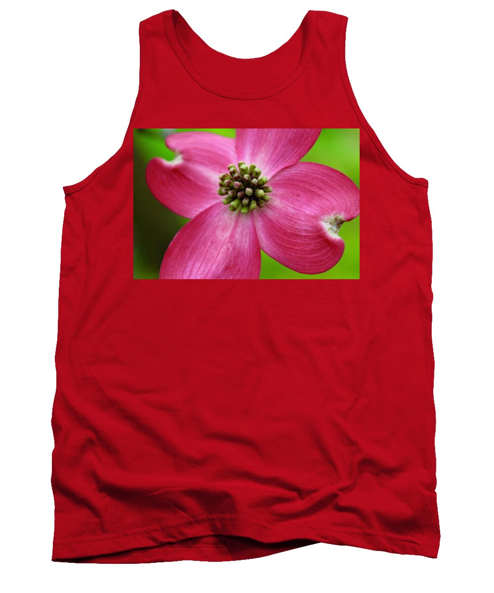 Photography Tank Top featuring the photograph Pink Dogwood Bloom and Spring Green by M E