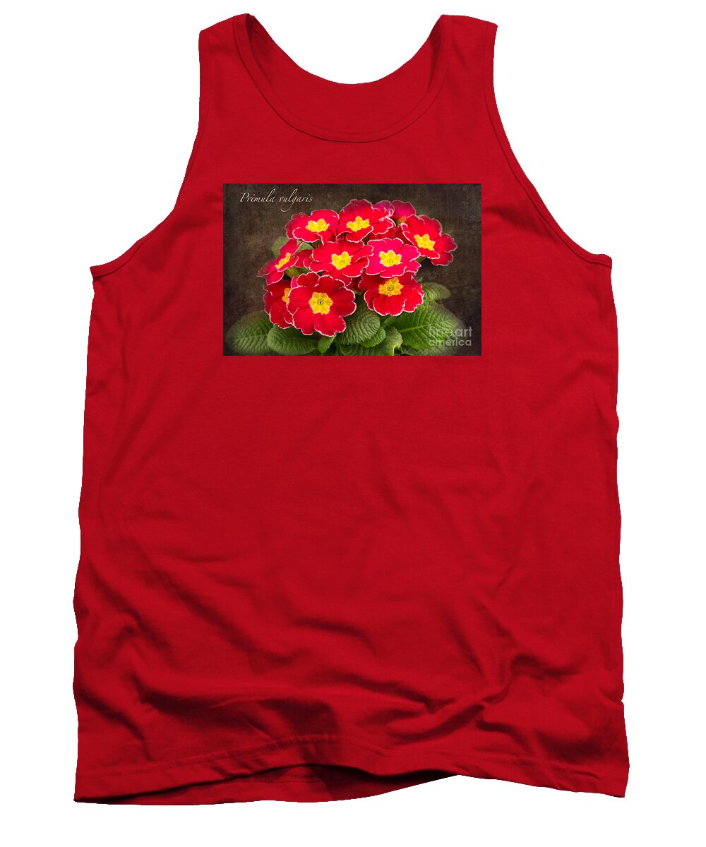 Primula Tank Top featuring the photograph Primula vulgaris by Marilyn Cornwell