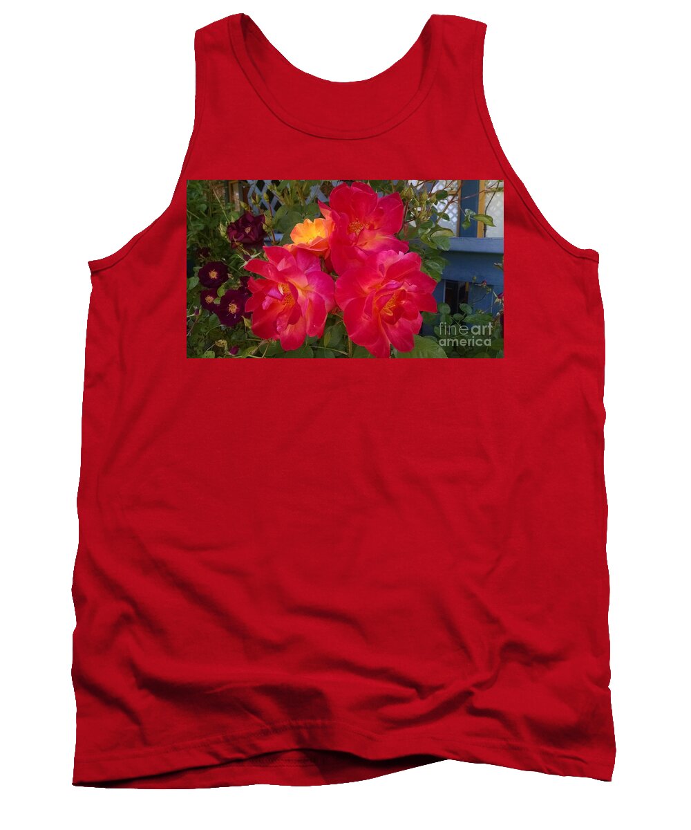 Botanical Tank Top featuring the photograph Red and orange rose by Steven Wills