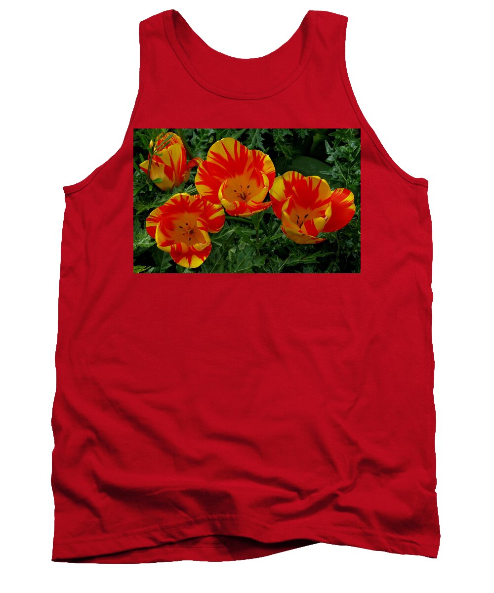 Flower Tank Top featuring the photograph Red and Yellow Flower by John Topman