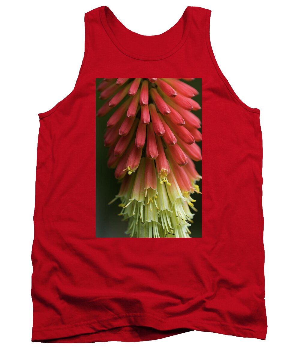 Astoria Tank Top featuring the photograph Red Hot Pokers by Robert Potts